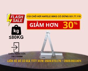 flash sale Cùi chỏ hơi Hafele 80kg có dừng 931.77.119