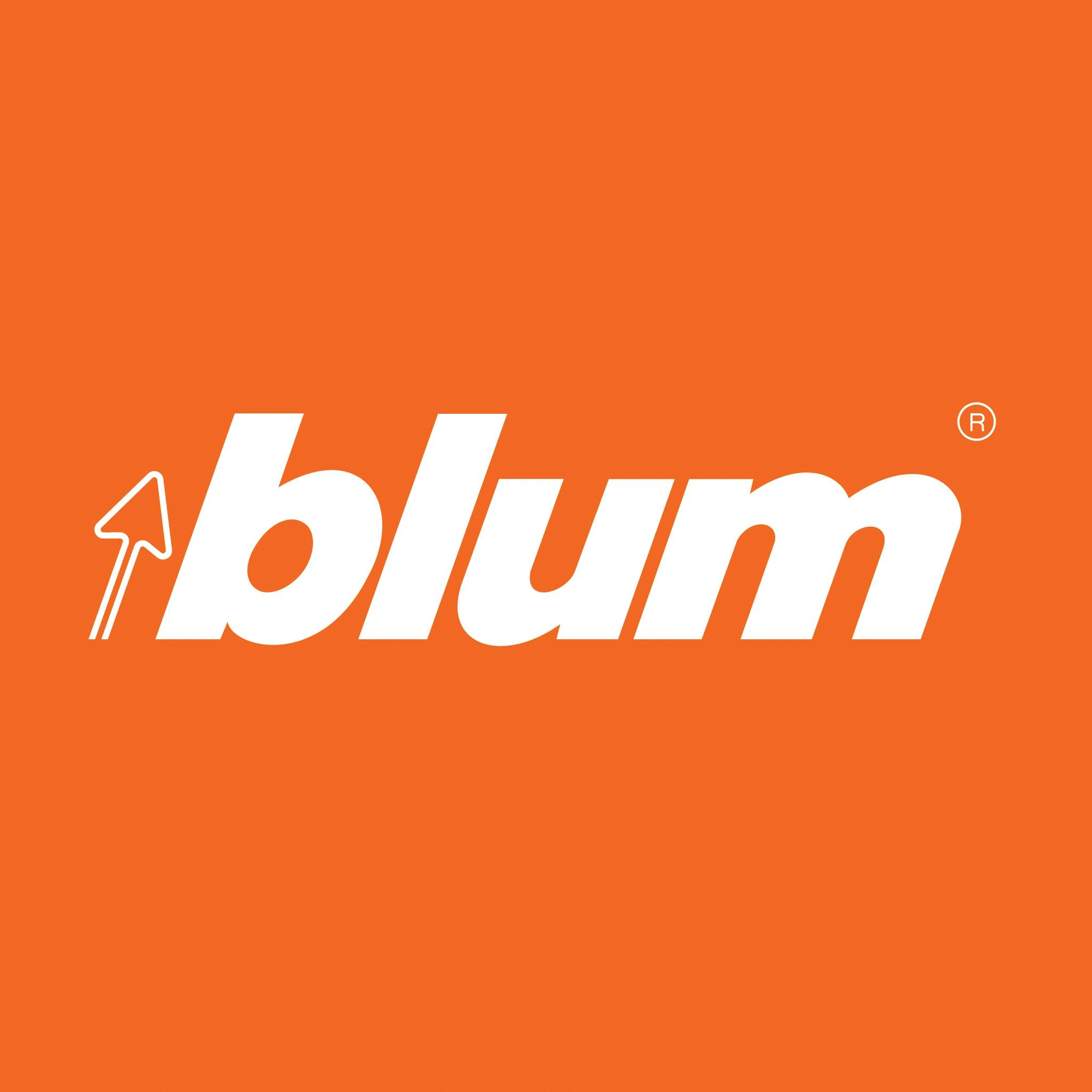 blum image