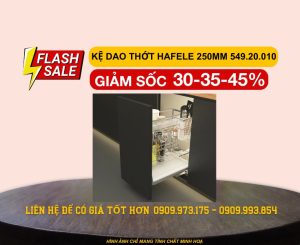 Giá dao thớt Hafele 250mm Inox 304 549.20.010