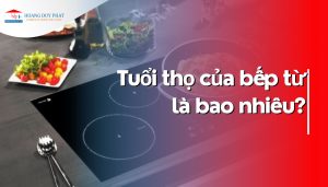 Tuổi thọ của bếp từ là bao nhiêu? So sánh với tuổi thọ bếp hồng ngoại