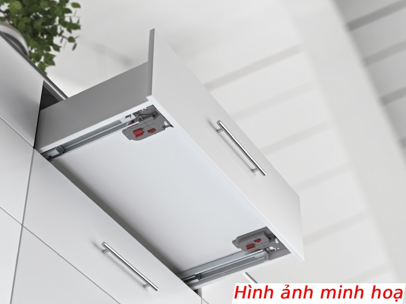 hinh minh hoa ray am hoc tu hinh minh hoa ray am hoc tu